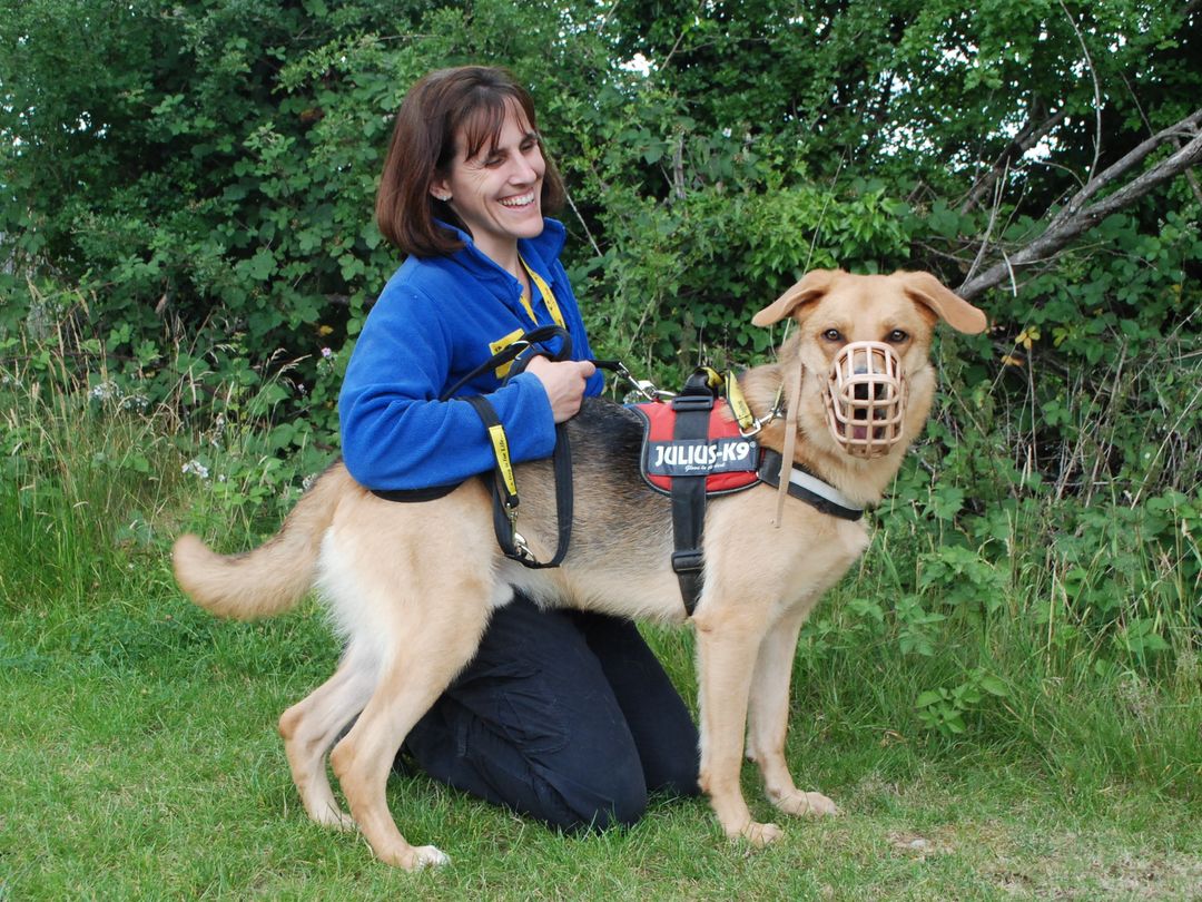 can a service dog wear a muzzle