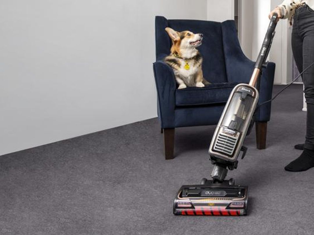 are dogs scared of vacuums