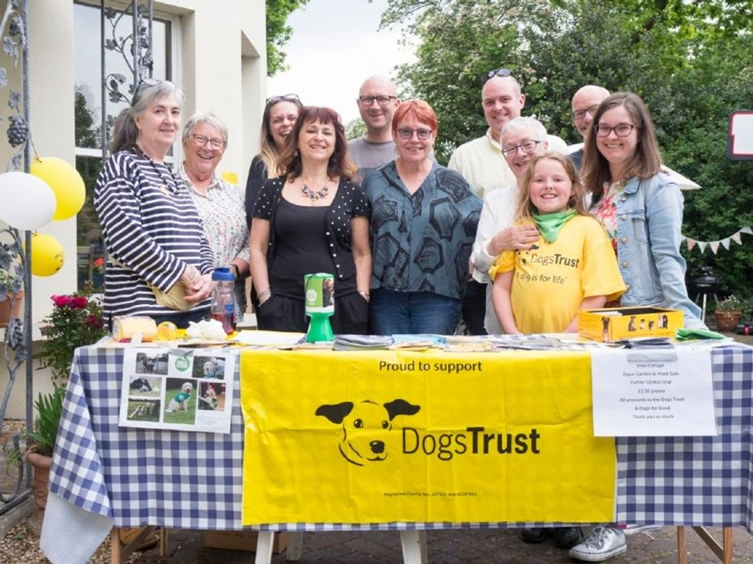 how much money does dogs trust raise per year