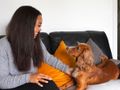 Give freedom to dog owners experiencing domestic abuse