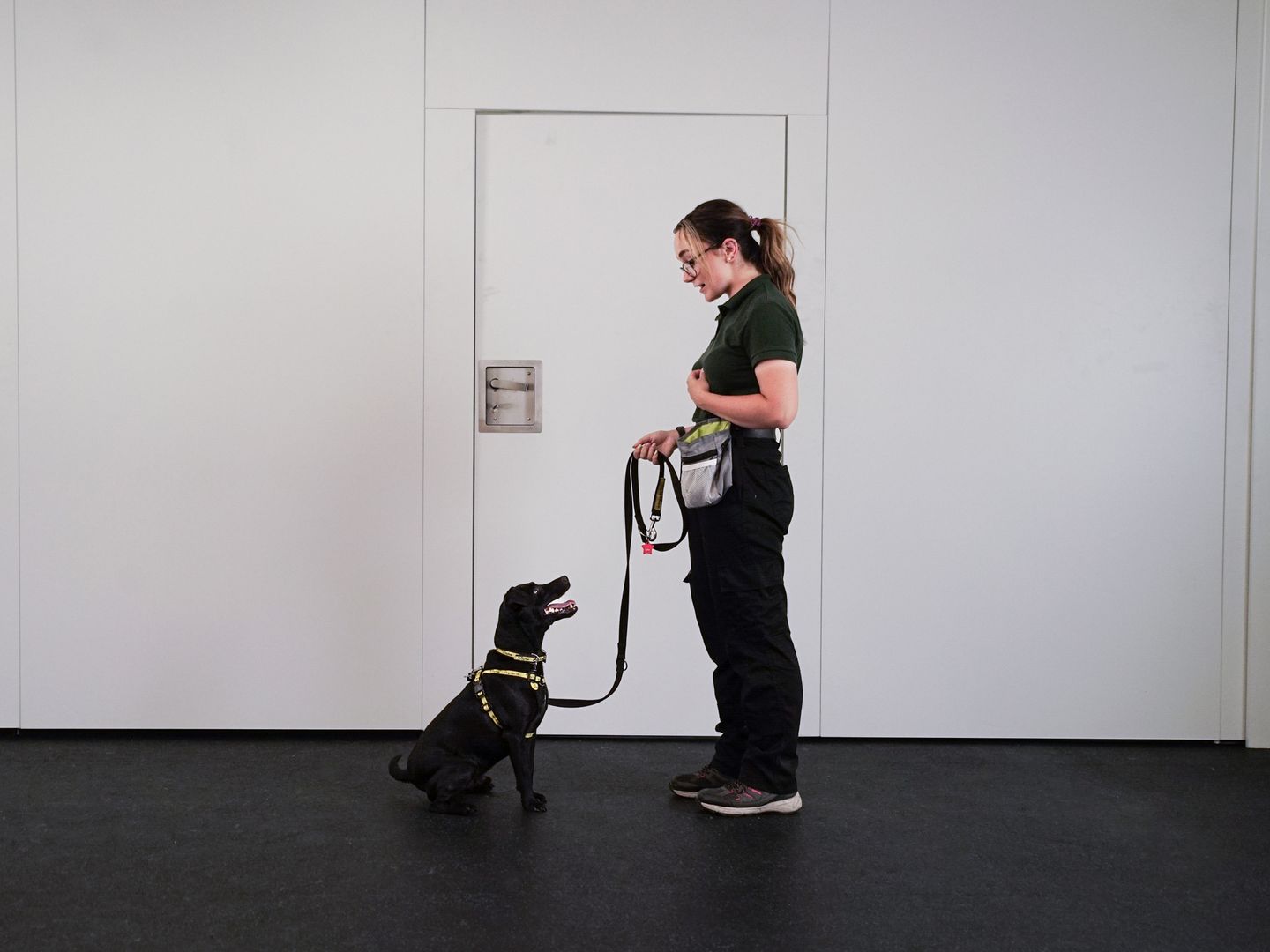 dog on lead, sat down, waiting by door