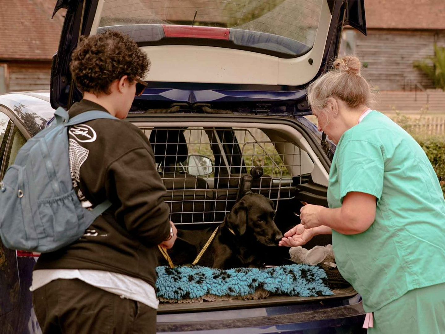 vet giving labrador treat in car with owner