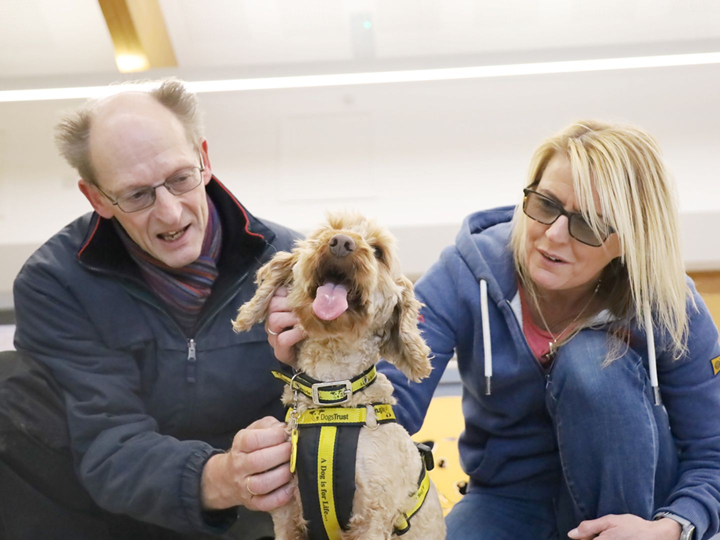 Rhubarb enjoys a fuss from her new owners