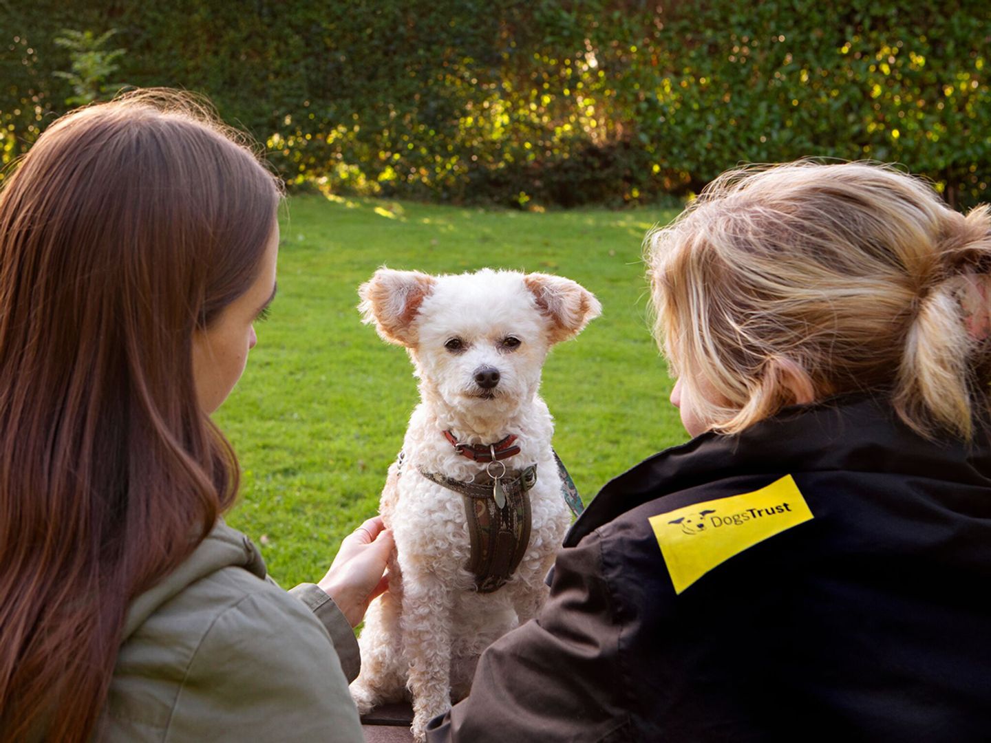 Tammy and Penny are reunited by Dogs Trust