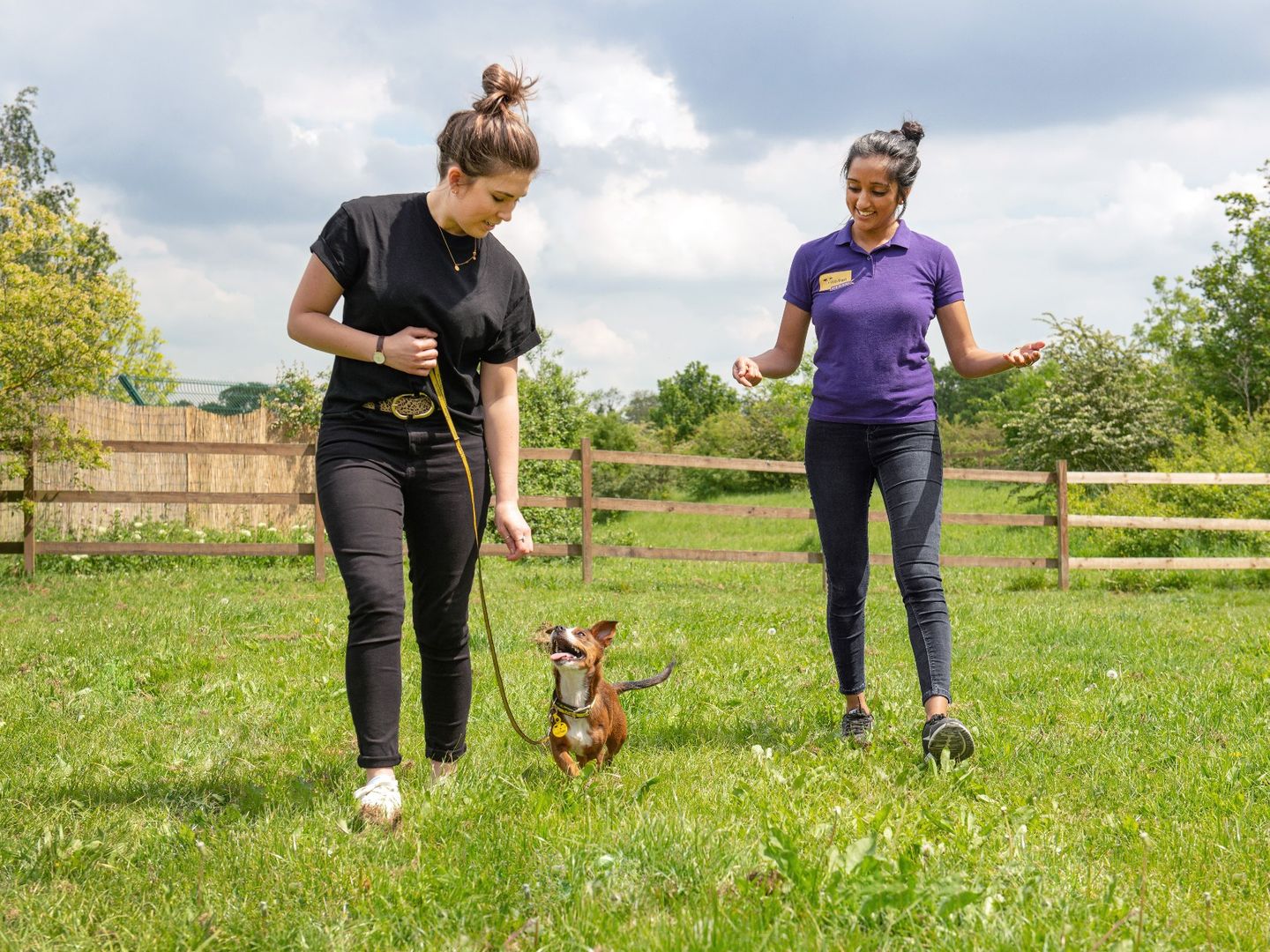 Dog School coach supporting owner and her dog during a heel training session, outside on some green grass.