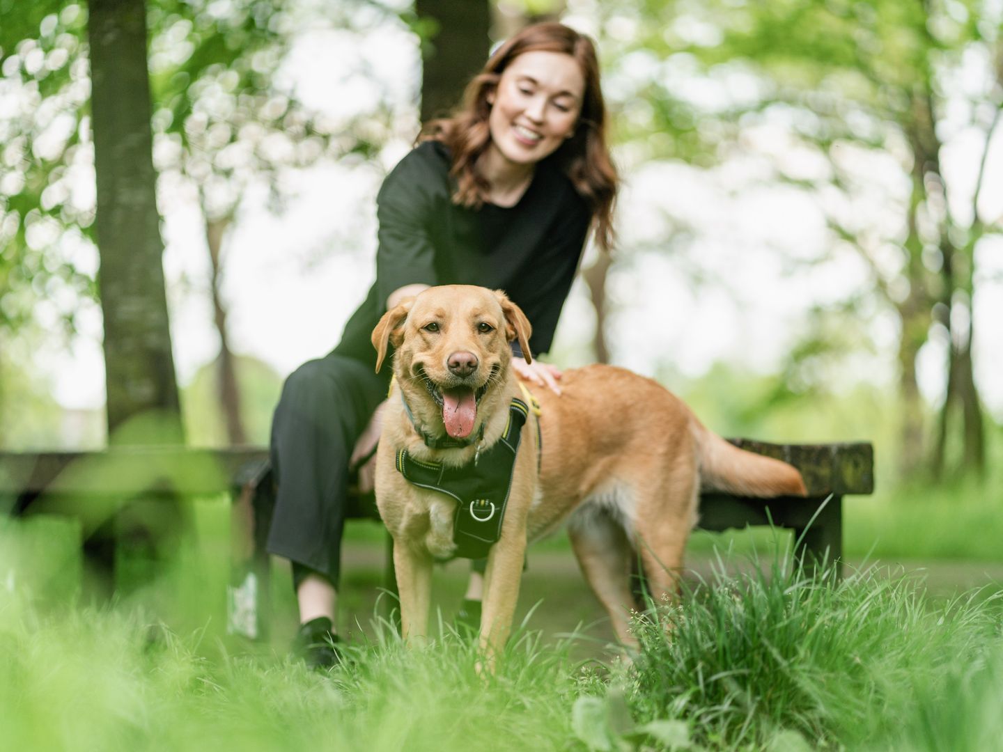 A woman sits on a park bench and fusses her smiling golden labrador