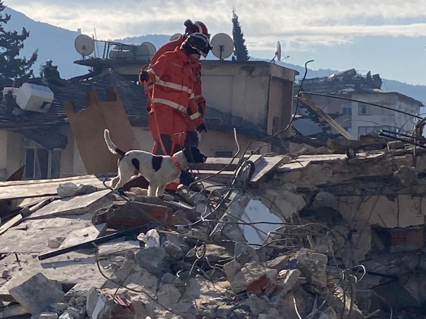 Davey the ISAR search and rescue dog on a search site in Turkey with two handlers, walking on building rubble.