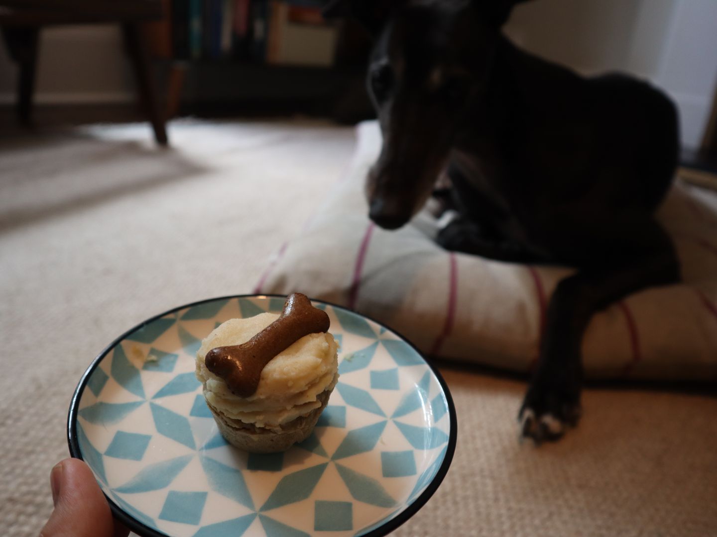 apple spiced cupcake on a blue pattern side plate next to a black greyhound dog on a dog bed