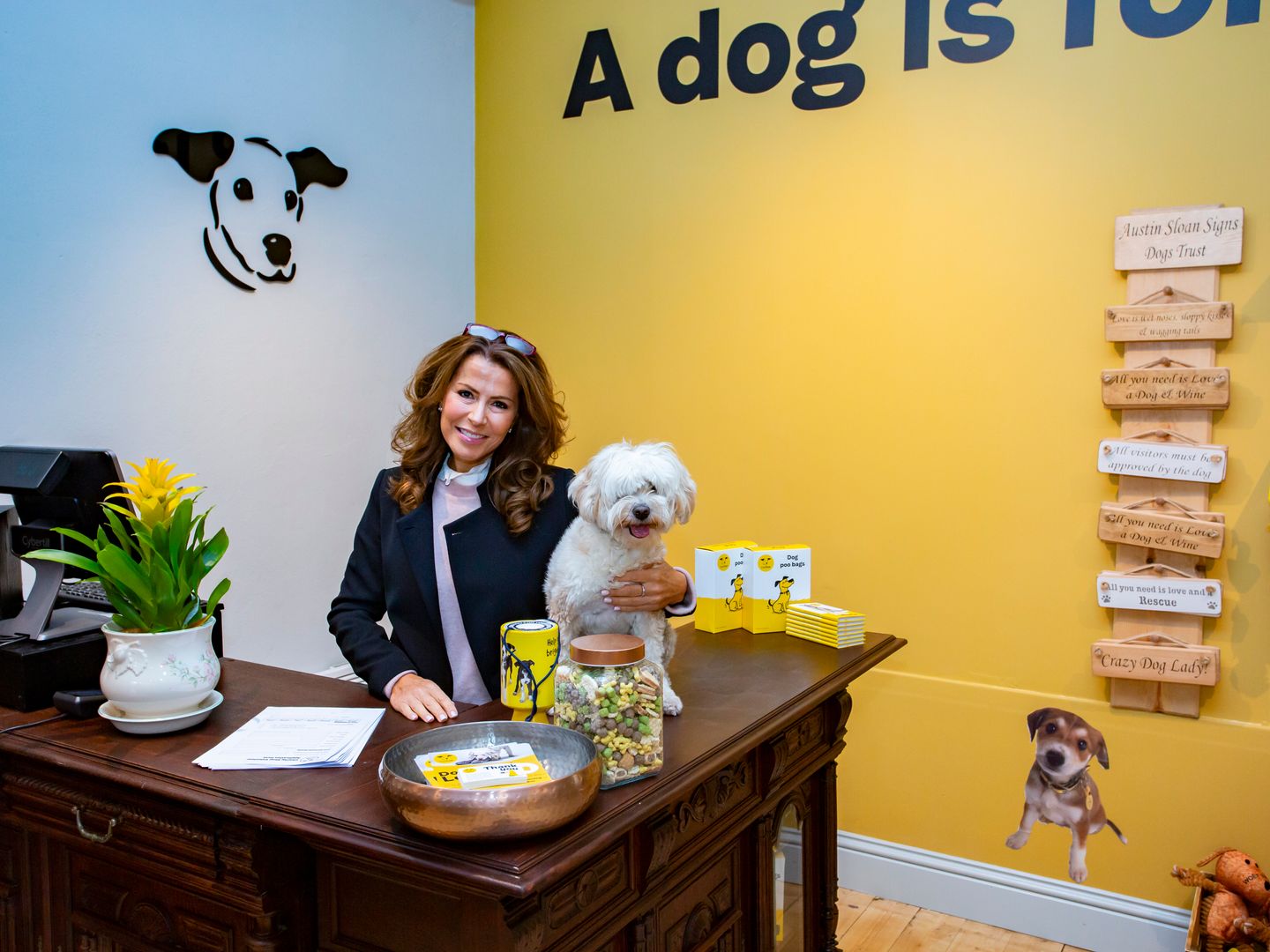 Natasha Kaplinksy sits at the reception of Lewes charity shop with her white dog Dolly.