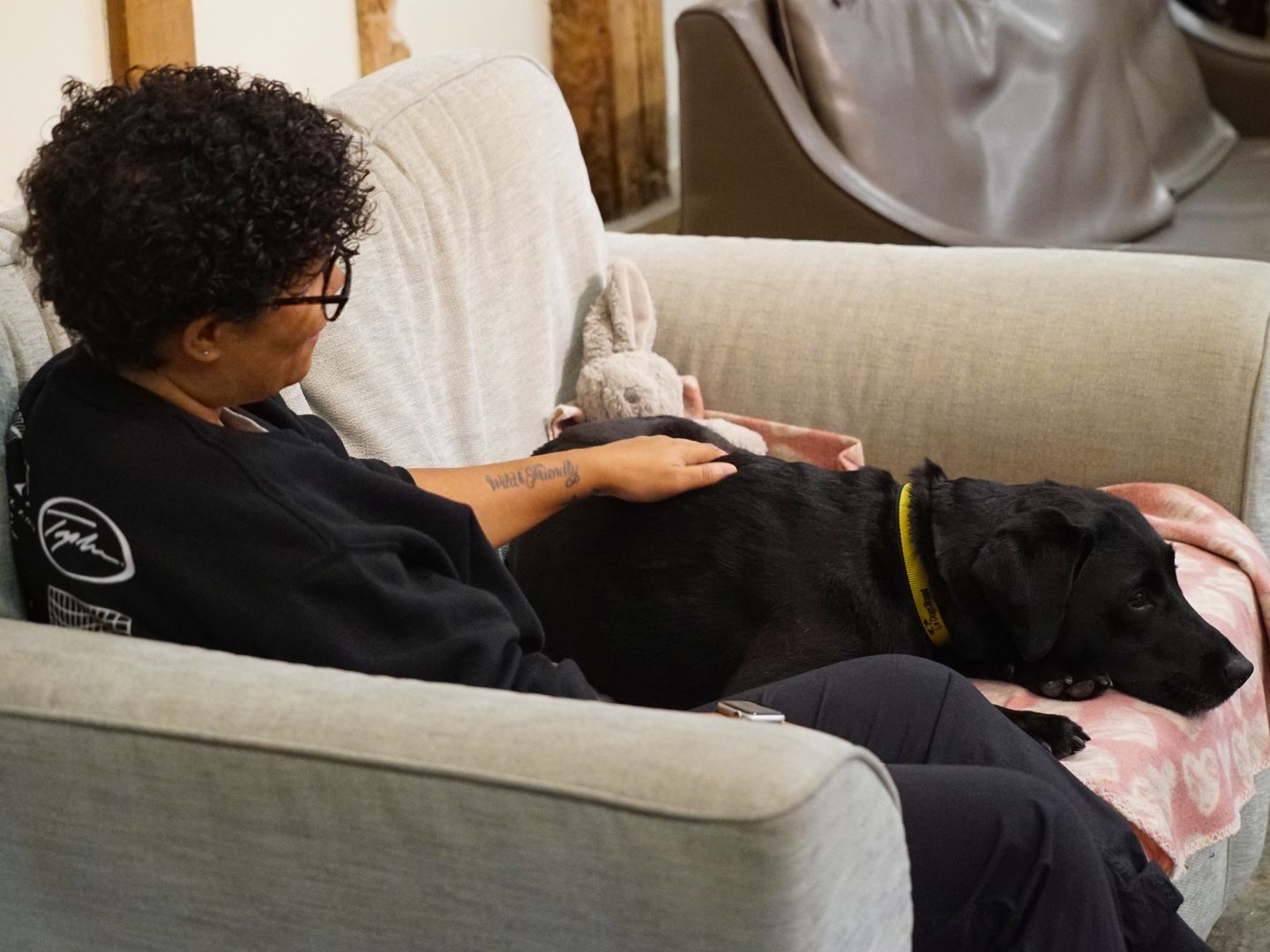 Coco the black labrador resting at home on a sofa on a pink blanket with owner