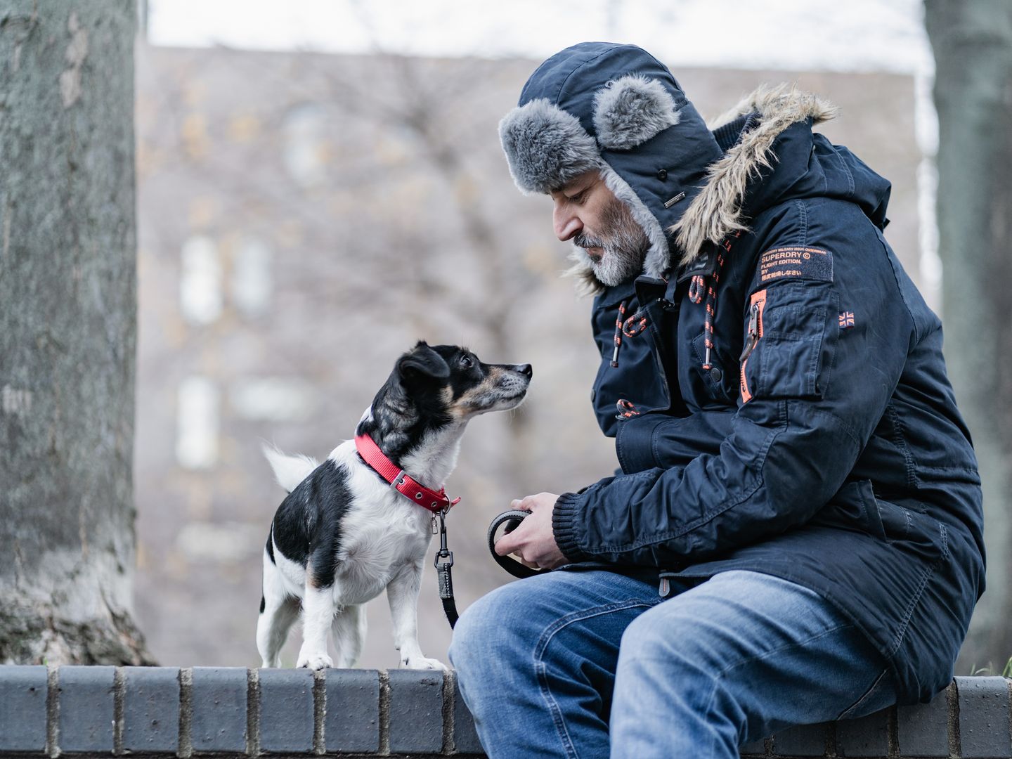 A man and a small tri-coloured dog sit facing each other on a brick wall in a park