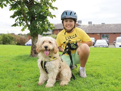 Dogs trust york hot sale road