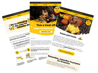 Image of three email copy cards on rehoming, dog advice and our wag dog magazine.