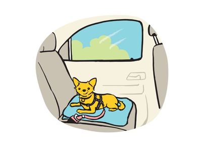 Illustration of small yellow dog sitting in back seat of car with a lead, harness and sitting on a blue blanket.