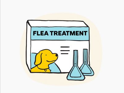 Illustration of flea treatment for dogs with two pipettes on the side