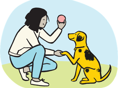 Illustration of a lady holding up a red ball to her yellow and black spotted dog doing the pall command