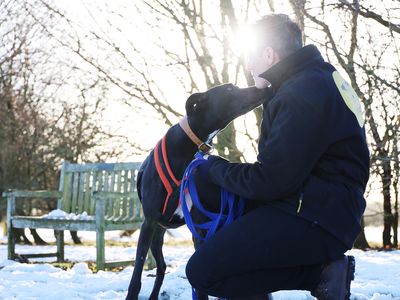 Domino | Lurcher Cross | Leeds - 2