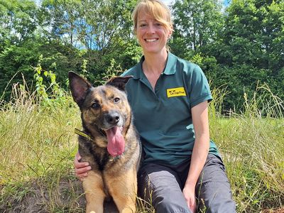 Nala | Belgian Shepherd Dog (Malinois) Cross | Merseyside (Liverpool) - 2