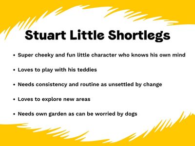 Stuart little shortlegs | Terrier (Jack Russell) | West Calder (Edinburgh) - 2