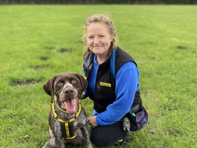 Tracker | Pointer (German Shorthaired) | Loughborough - 3