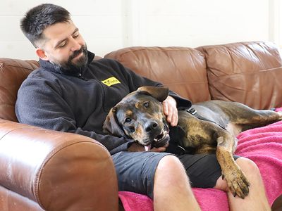 Zena | Rottweiler Cross | Leeds - 2