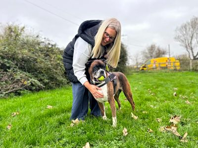 Coco | Boxer | Shoreham (Sussex) - 4