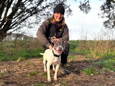 Skye | Terrier (Staffordshire Bull) | Shoreham (Sussex) - 5