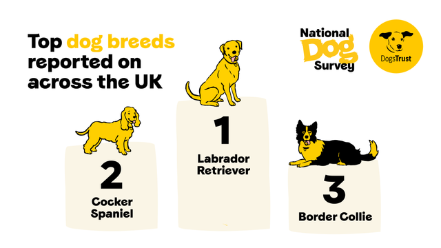 NDS Results - Top UK Dog Breeds