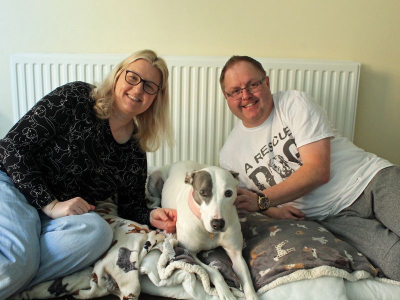 Two volunteers sitting with their adopted dog Dana the Crossbreed