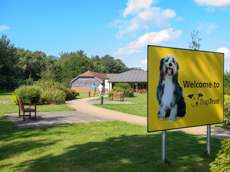 Dogs Trust Canterbury rehoming centre