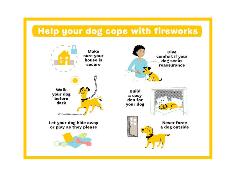 what helps dogs with fireworks anxiety