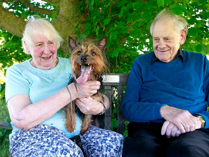 Foster Carers Sonia and Barry with Pepper the Australian Terrier