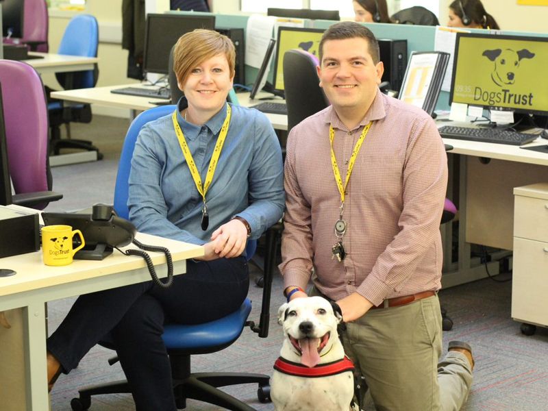 Hannah working at the Dogs Trust Contact Centre