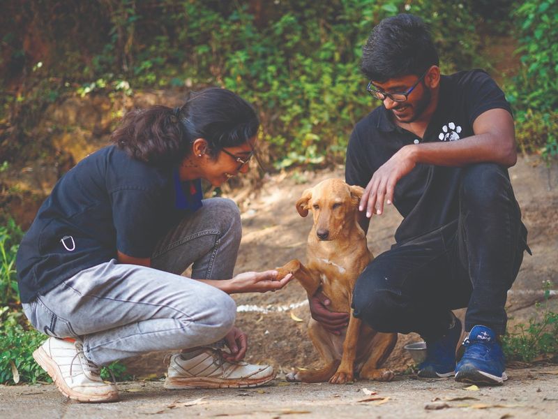 Mission rabies staff petting a tan crossbreed dog, giving paw to the lady on the street.