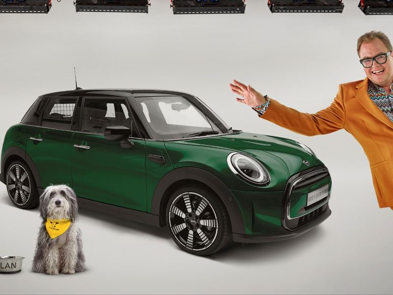 Mini cooper outlet dog accessories