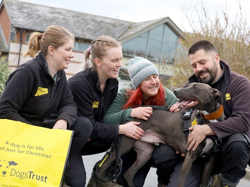 Beau with rehoming centre staff