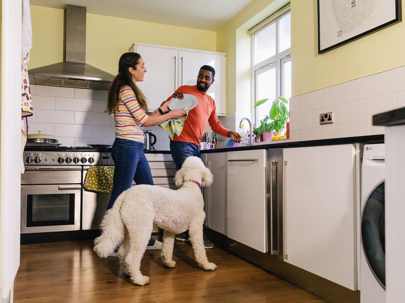 Chereka a white Poodle is standing in the kitchen watching a man and woman washing plates by the sink.