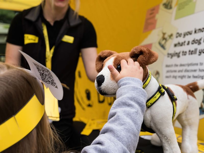Dogs trust branding and event set up with little girl stroking a pet soft dog toy, at a community event.