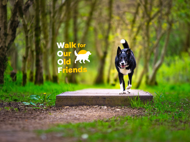 walk for our friends logo with image of a dog