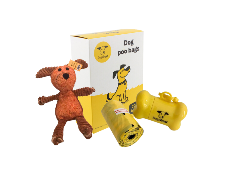 Our online shop products: orange teddy soft toy, box of poo bags, a yellow roll of poo bags and a yellow bone poo bag holder.