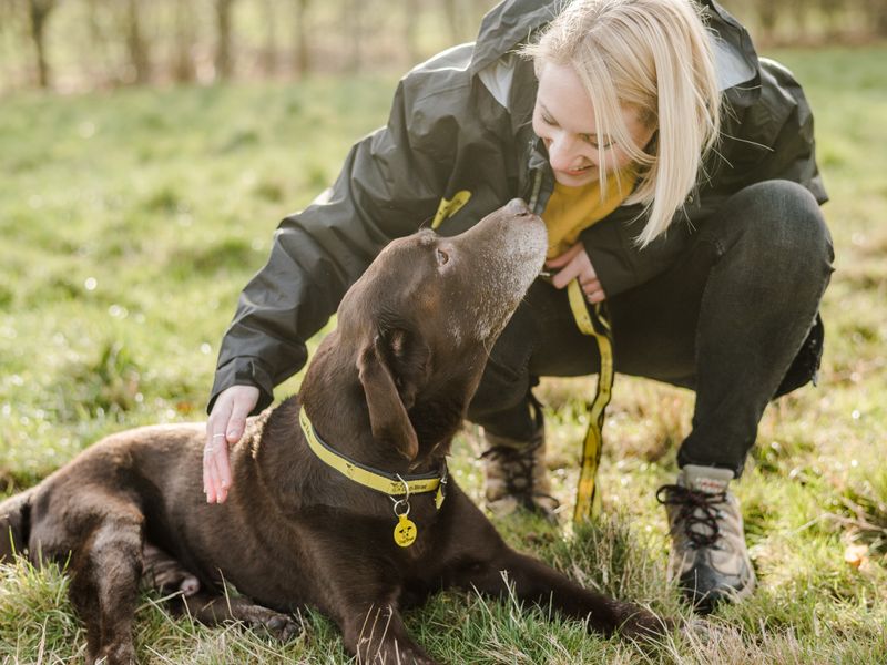 Canine Carer sitting with chocolate labrador at Newbury Rehoming Centre.