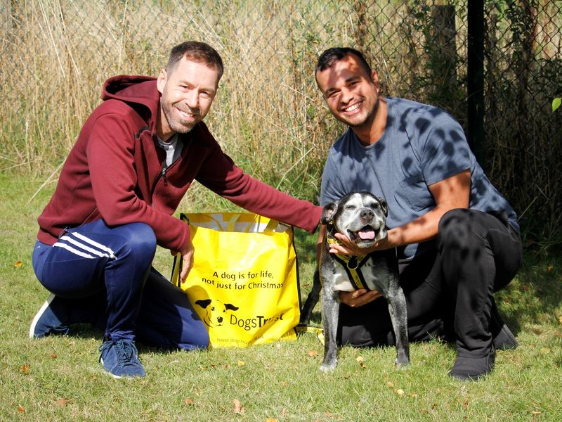 Ty the oldest DT dog, a black and white staffie, is pictured with Lee and Bruno on the day of his adoption.