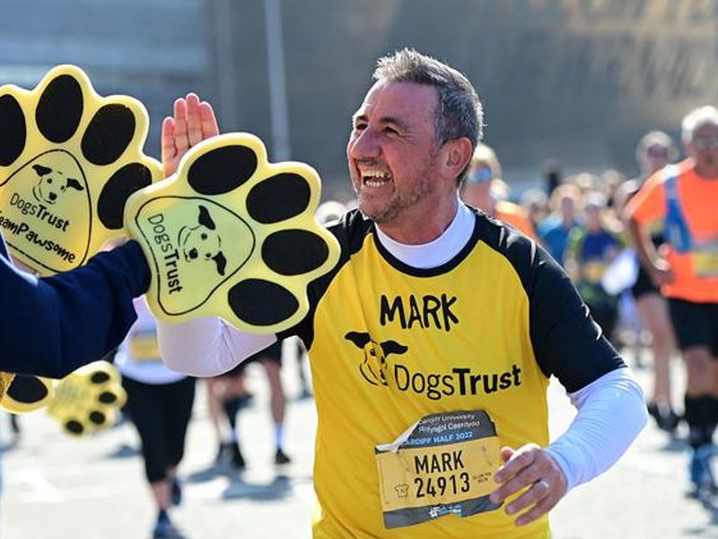 A Cardiff Half Marathon runner called mark runs by and gets a high five from a big yellow pawprint foam hand.