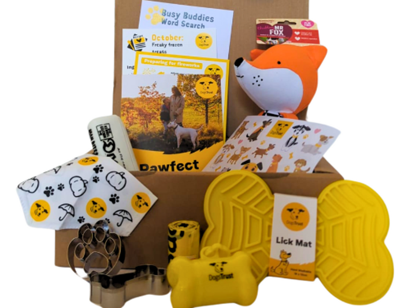 Various of our online shop doggy items: poo bags, lick mat, stickers, cards, bone and paw print biscuit cutters and a fox soft toy all in a cardboard box.