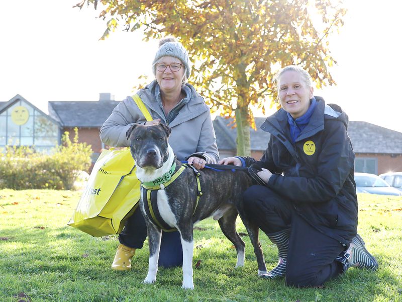 Reg the white and brindle Crossbreed, taking a photo with his adopter and a canine carer outside