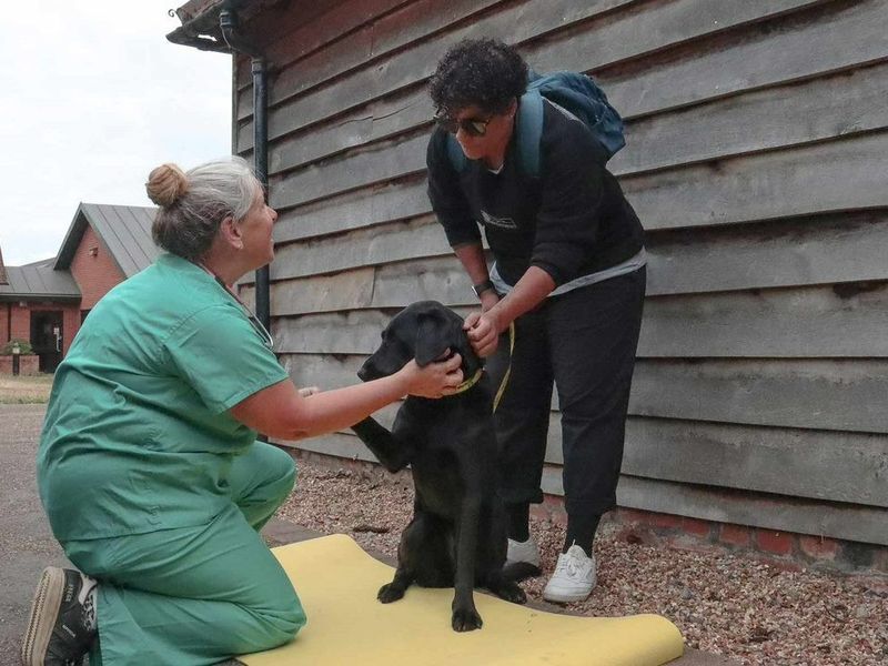 vet outside bending down with lady owner and black labrador having a consult behind building