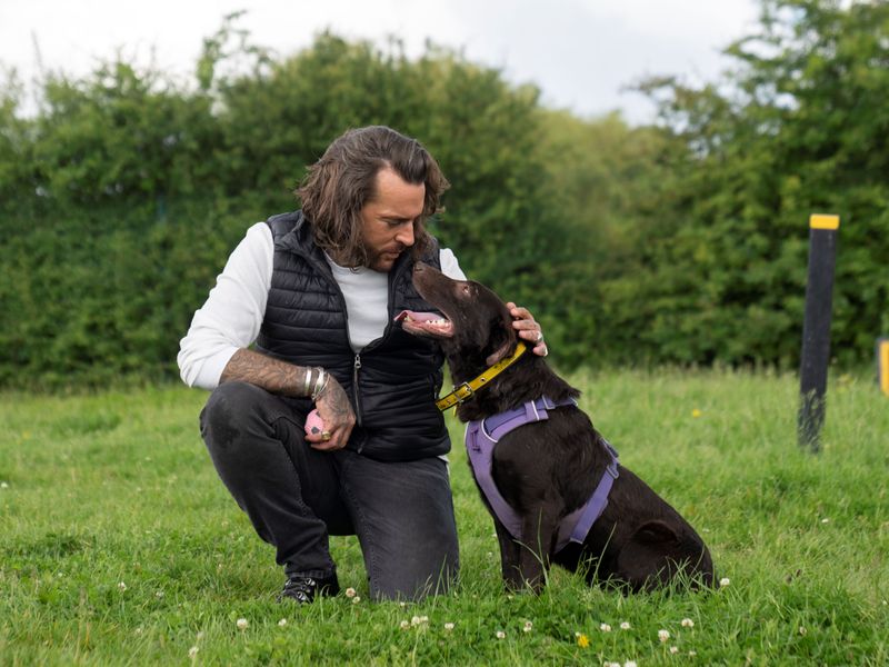 Celebrity Pete Wicks knelt down beside a chocolate Lab, on some green grass.