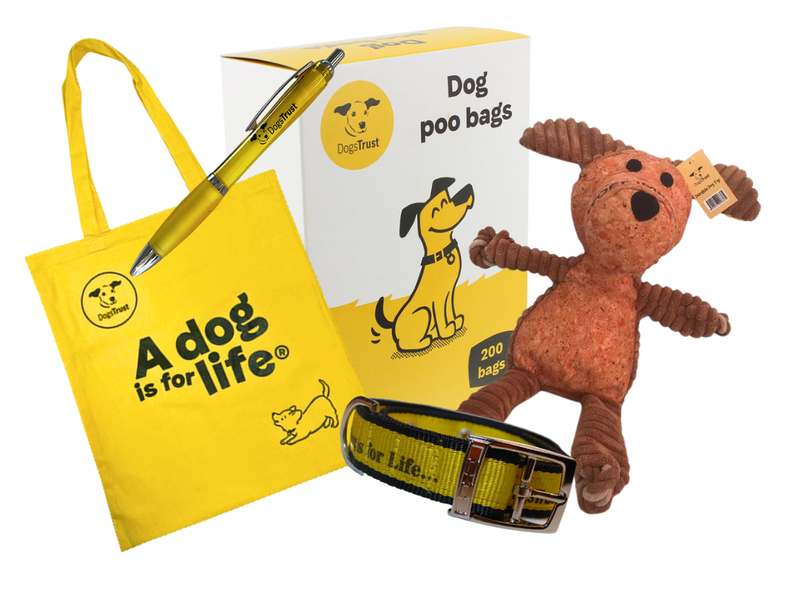 Items available at our online shop, which includes a pen, canvas bag, teddy, collar and poo bags