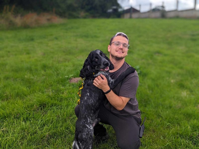 Cocker Spaniels for sale in Mid Glamorgan, Wales