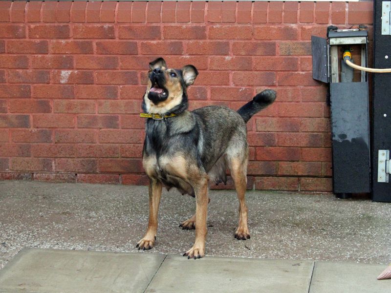 Hope for sale in Liverpool, Merseyside - Image 1